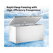 Thermaster Chest Freezer with Stainless Steel Lid 520L - BD520F