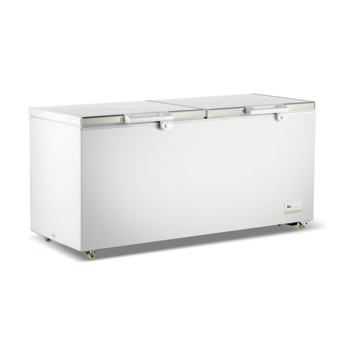 Thermaster Chest Freezer with Stainless Steel Lid 600L - BD600F