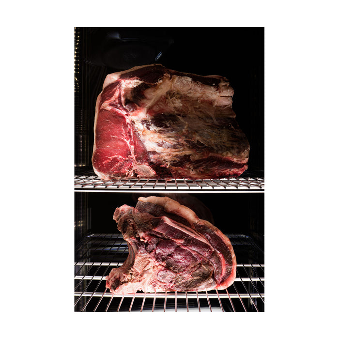 Everlasting Dry Age Meat Cabinet Panorama - DAE1502