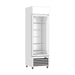 Thermaster Single Glass Door Colourbond Upright Drink Fridge 370L - LG-370P