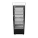 SKOPE EziCore 1 Glass Door Display or Storage Fridge - BCE600N - 3D model (Black)